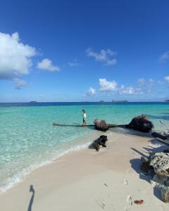 a person standing on a beach next to the ocean at Islas de Guna Yala Cabaña tradicional Guna Tubasenika in Arritupo Número Dos