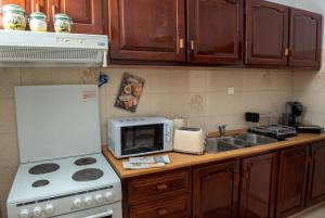 a kitchen with a stove microwave and a sink at Palaikastro Holiday Apartment in Sitia