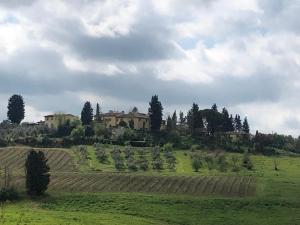 uma casa no topo de uma colina com um campo em La Loggia del Ciliegio in Chianti em Montespertoli
