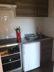 kuchnia ze zlewem i kuchenką górny piekarnik w obiekcie Appartement rénové avec parking plein centre w mieście Samoëns +5 zdjęć