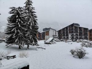 pokryty śniegiem dziedziniec z sosną i budynkami w obiekcie Appartement rénové avec parking plein centre w mieście Samoëns