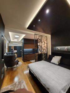 Schlafzimmer mit einem Bett, einem Schreibtisch und einem Stuhl in der Unterkunft TORRO LUX Apartment in Palić