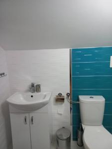 a bathroom with a white toilet and a sink at Vila Nastovski in Veles
