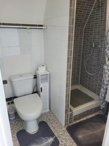 a small bathroom with a toilet and a shower at "Mon Évidence!" Magnifique appartement vue mer et accès direct à la plage in Villers-sur-Mer
