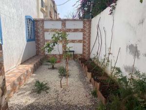 een tuin met een aantal planten en een muur bij 卡萨布兰卡豪华别墅，距离穆罕默德5机场10分钟 in Casablanca