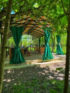 een groep groene gordijnen onder een luifel in een park bij Cottage Villa Ioseliani in Kumistavi