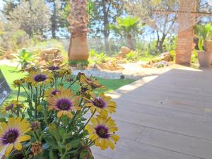 un jardín con flores moradas y amarillas y una pasarela en Dimora Virone Paradiso, en Naro