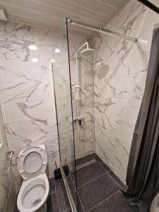 a bathroom with a toilet and a glass shower at Appartement au cœur de ville in Chalon-sur-Saône