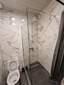 a bathroom with a toilet and a glass shower at Appartement au cœur de la ville in Chalon-sur-Saône