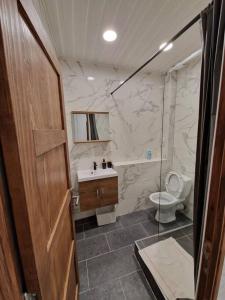 a bathroom with a toilet and a sink and a shower at Appartement au cœur de la ville in Chalon-sur-Saône
