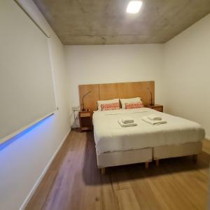 - une chambre avec un lit et une grande fenêtre dans l'établissement Alamos de los Andes - Andarlibre, à San Martín de los Andes