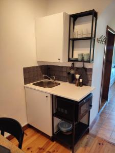 a kitchen with a sink and a counter top at Alojamento Casa do Cabeço Alombada in Macinhata do Vouga