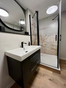 a bathroom with a sink and a mirror at Ferienhaus Seeschwalbe 12 2 in Langeoog