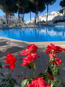 Bazén v ubytování Casa Silvia Marbella - dom w kompleksie hotelowym nebo v jeho okolí