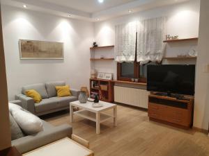 a living room with a couch and a flat screen tv at Euphoria beach house in Paleo Tsifliki