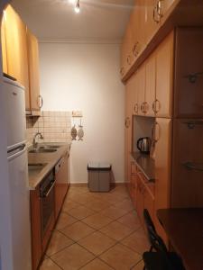 a kitchen with wooden cabinets and a counter top at Euphoria beach house in Paleo Tsifliki