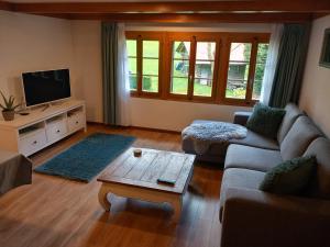 TV a/nebo společenská místnost v ubytování Chalet Elza