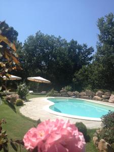 a swimming pool with a pink flower in a yard at San Processo Agriturismo in Castel del Piano