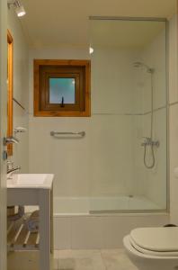 een badkamer met een douche, een toilet en een wastafel bij Los Amancays 2 in Villa La Angostura