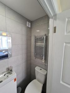 La petite salle de bains est pourvue de toilettes et d'un lavabo. dans l'établissement Cosy Garden Studio near Dublin Airport, à Dublin