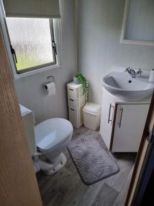 uma pequena casa de banho com WC e lavatório em Whitehouse Leisure Park North wales 6 birth caravan em Kinmel Bay