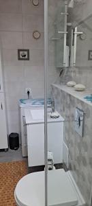 uma casa de banho com um WC e um lavatório em DOMEK-NADMORSKI ZAKĄTEK em Pogorzelica