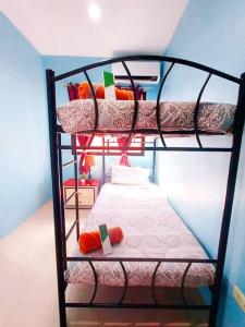 Cette chambre dispose de lits superposés et de 2 lits superposés. dans l'établissement Family Friendly Entire House 4 minutes to Beach, à Liloan