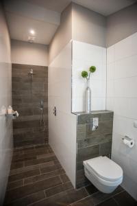 ein Bad mit einem WC und einer Dusche in der Unterkunft Hof van Alexander Boutiquehotel in Kerkwerve