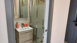 a bathroom with a sink and a shower with a mirror at Chambre pour 2 personnes dans la banlieue parisienne (Bondy) in Bondy