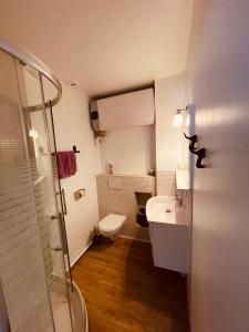 a bathroom with a toilet and a sink and a shower at Le Clos Robinson in Martin-Église