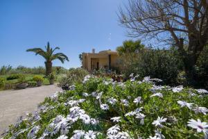 A garden outside Gea Maleme