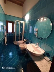 La salle de bains est pourvue d'un lavabo, de toilettes et d'un miroir. dans l'établissement Casa Pina, à Malmantile