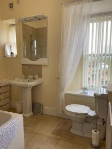 uma casa de banho com um WC, um lavatório e um espelho. em Stewarts House em Newtownstewart