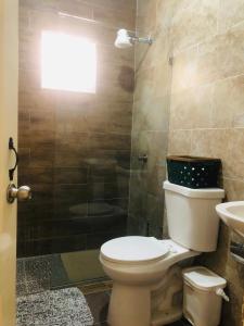 a bathroom with a toilet and a shower and a sink at J&W apartment in San Felipe de Puerto Plata