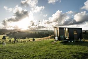 une petite maison sur un champ herbeux avec des chevaux en arrière-plan dans l'établissement Mighty Tiny House 2, à Ruawaro