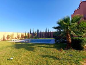 a palm tree next to a swimming pool at Villa in Agadir