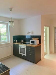 阿伦斯霍普Fe-Wo Schifferberg Lodge的配有炉灶和微波炉的厨房