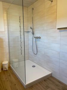 eine Dusche mit Glastür im Bad in der Unterkunft Strandläufer in Wustrow