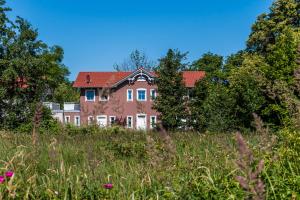 a house on a hill with a field of flowers at Strandquartier 31 "Quartier 2" in Wustrow