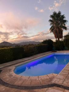 une piscine bleue avec un palmier en arrière-plan dans l'établissement Casa Cefas -Zonda San Juan-, à Zonda