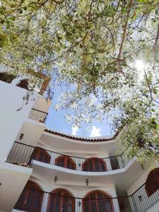 un edificio con ventanas y árboles en el primer plano en Astromelia Hotel en Ayacucho