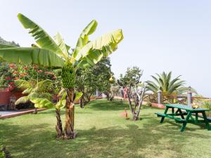 Zahrada ubytování Casa el Mirlo: Paraíso rural con piscina y hermosos jardines en Icod de los Vinos, Tenerife - ES-279-20