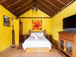 um quarto com uma cama e uma televisão de ecrã plano em Villa Icod de los Vinos, 1 dormitorio, 2 personas - ES-279-20 em Icod de los Vinos