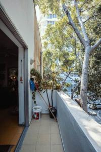 a balcony with a tree on the side of a building at Frishman beach 2Br full of art and light in Tel Aviv