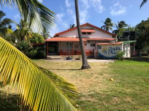 a house with a palm tree in front of it at Capi´s Place in San Andrés