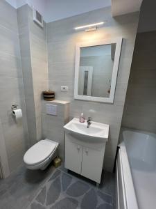 a bathroom with a sink and a toilet and a mirror at City Center Sunny Apartment in Suceava