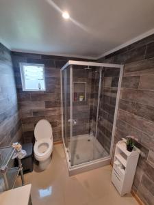 a bathroom with a toilet and a shower at Cabaña in Ancud +6 photos
