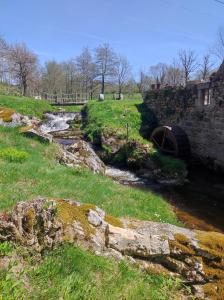 Príroda v okolí apartmánu