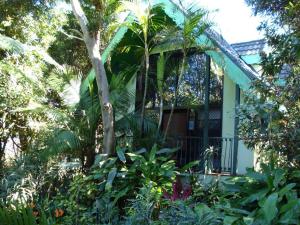 una casa con árboles y plantas delante de ella en Romance Chalet on Gallery Walk with Spa, Fireplace, WiFi & Netflix en Mount Tamborine