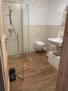 een badkamer met een douche, een toilet en een wastafel bij W Diamonds Ranch in Großräschen
